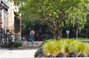 The Lyric Apartments