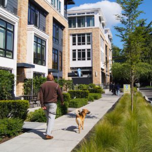 The Lyric Apartments