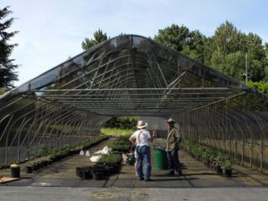 Rainier Beach Urban Farm & Wetland